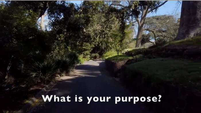 https://vimeo.com/manage/videos/647550391